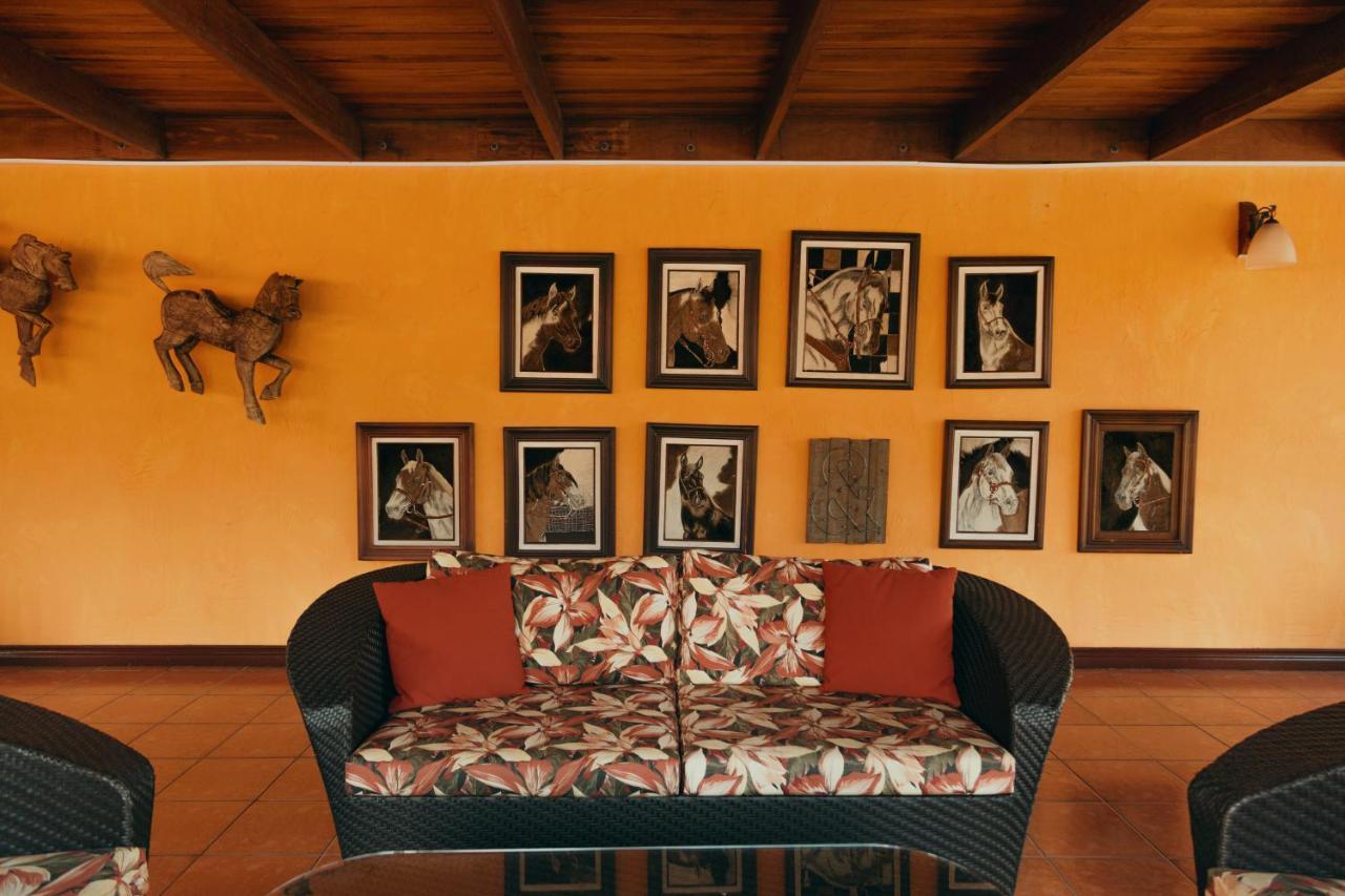 El Rodeo Boutique Hotel&steakhouse Hotel 4*